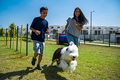 Pet park